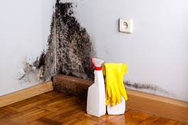 Trusted Landis, NC Mold Removal & Remediation Experts